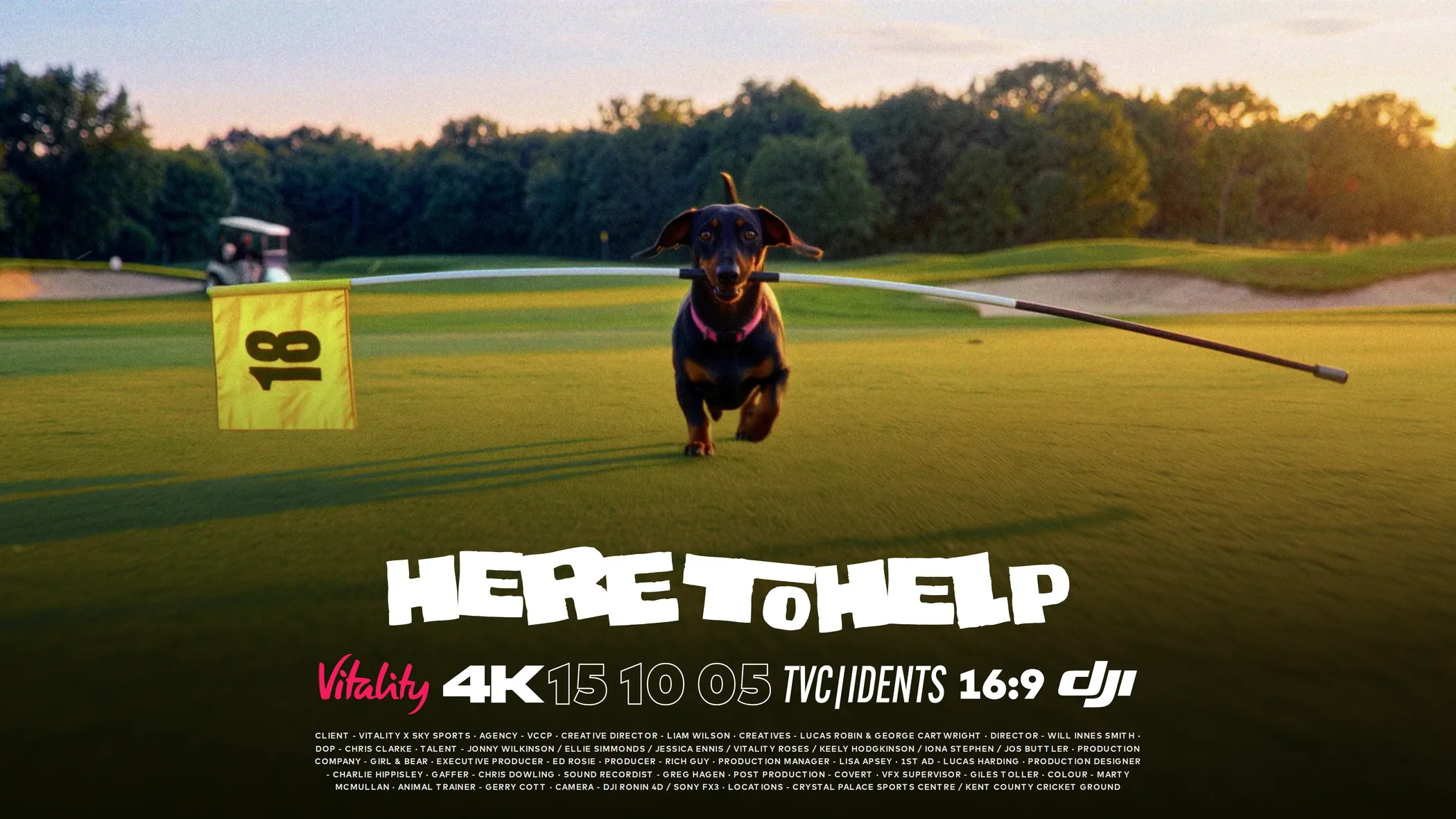 Here To Help · Vitality x Sky Sports