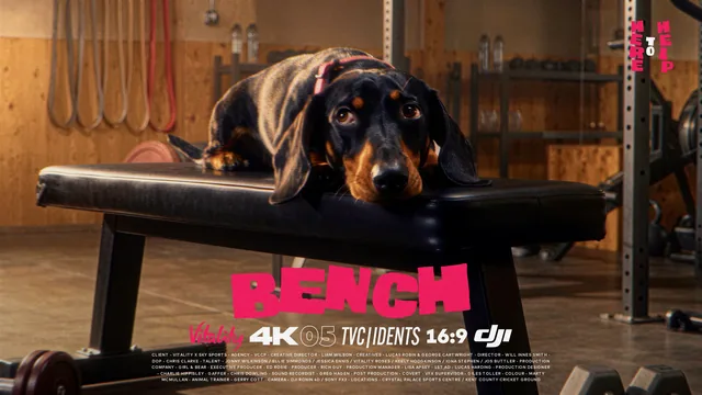 Bench